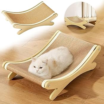 Easttop T008K 10-Hole Diatonic Harmonica Set, Key Of A/B/C/D