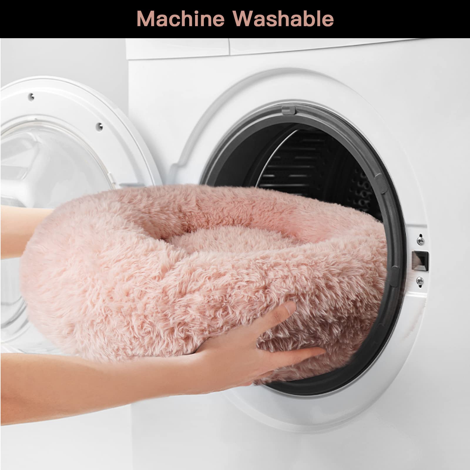 https://m.media-amazon.com/images/I/71zeXEYLiKL.jpg