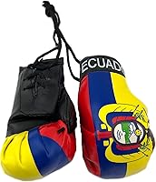 Vista 2 de Mini guantes de boxeo para espejo de coche (Ecuador)