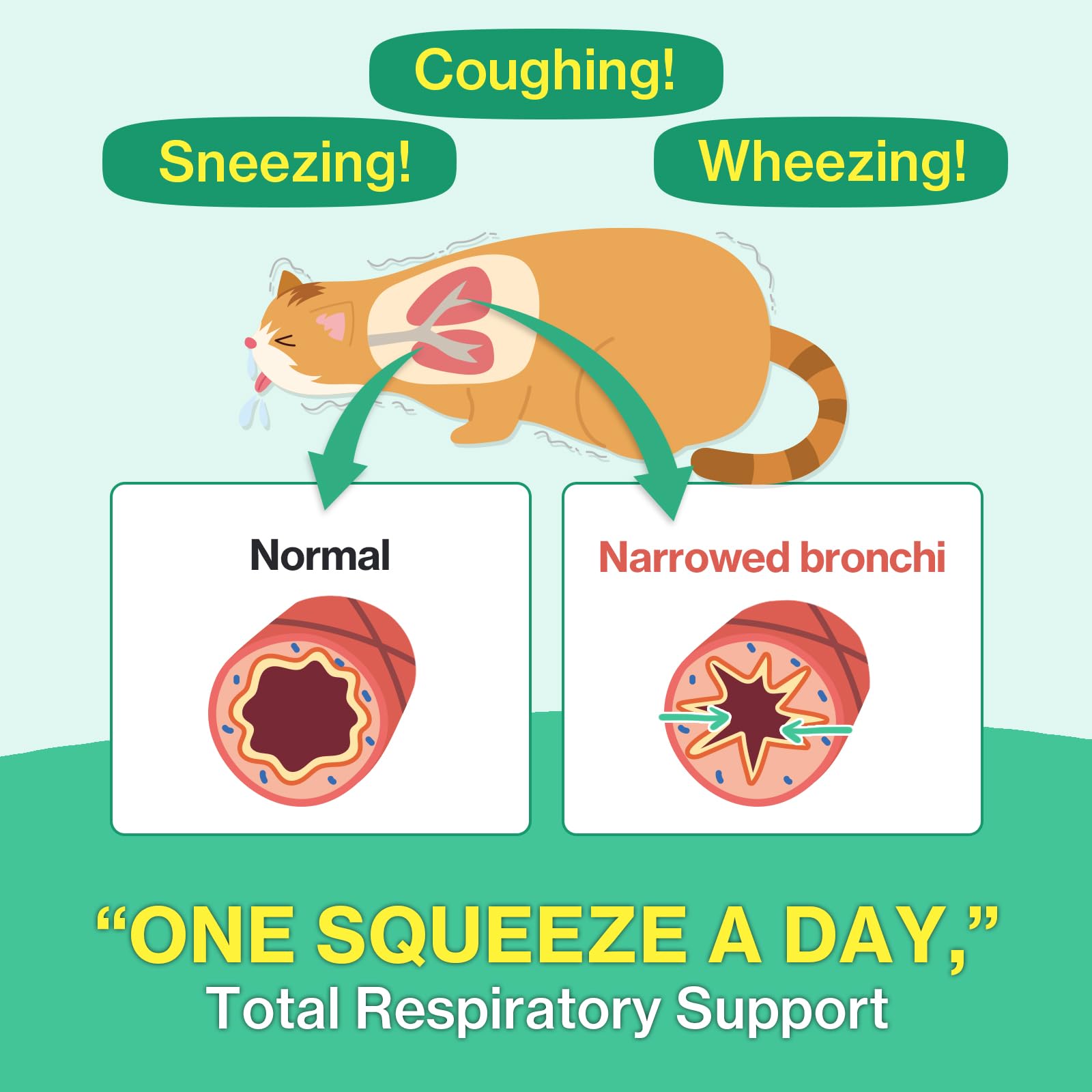 Cat Breath Bronchial Supplements Cat Sneezing Treatment Asthma Cold Cough Nose Relief Respiratory&Immune Support with TF-343-30 lickable Formula Individually Packaged, Chicken (1 Pack) — Amazon image 2