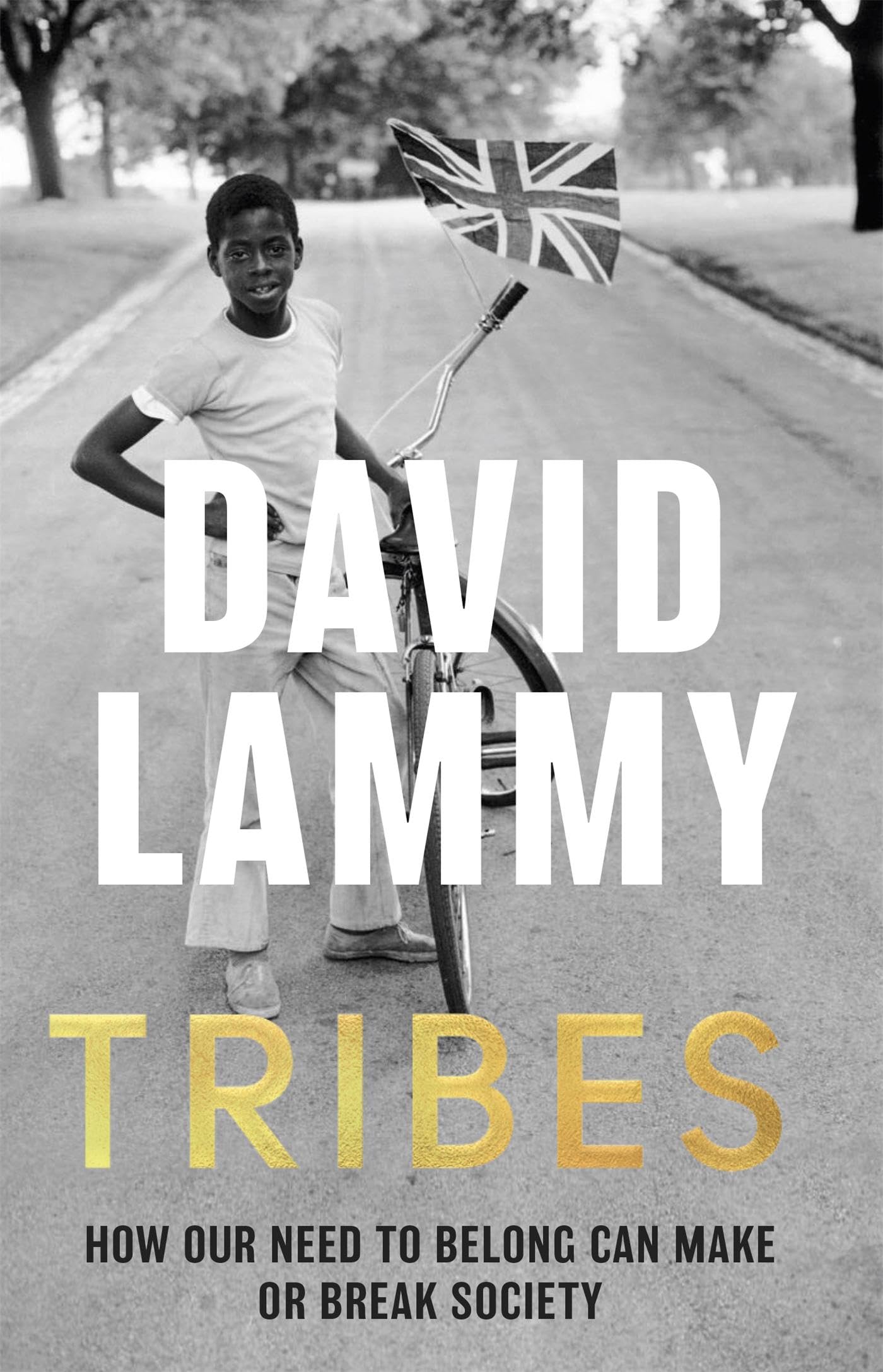 Tribes by David Lammy PAPERBACK 9781472128720