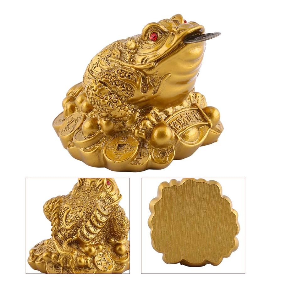 黄金のカエル(rana d'oro) 黄金のカエル(rana d'oro) 黄金のカエル(rana d'oro) 黄金の