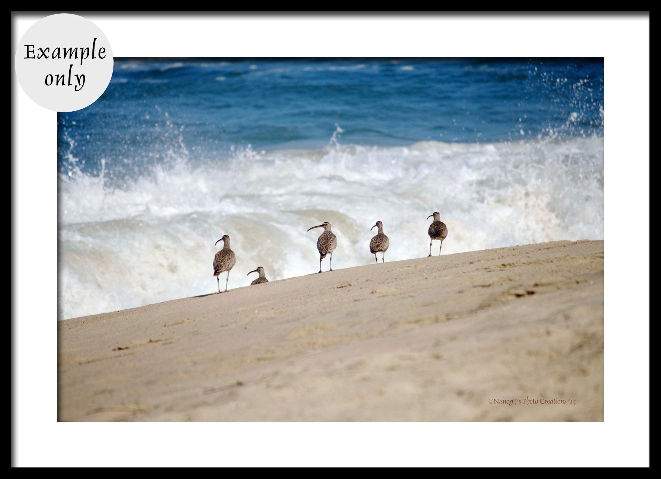 Pacific Ocean Birds on Sandy Beach Photographic Print Unframed Crashing Waves Photo Blue White Beige Coastal Home Decor
