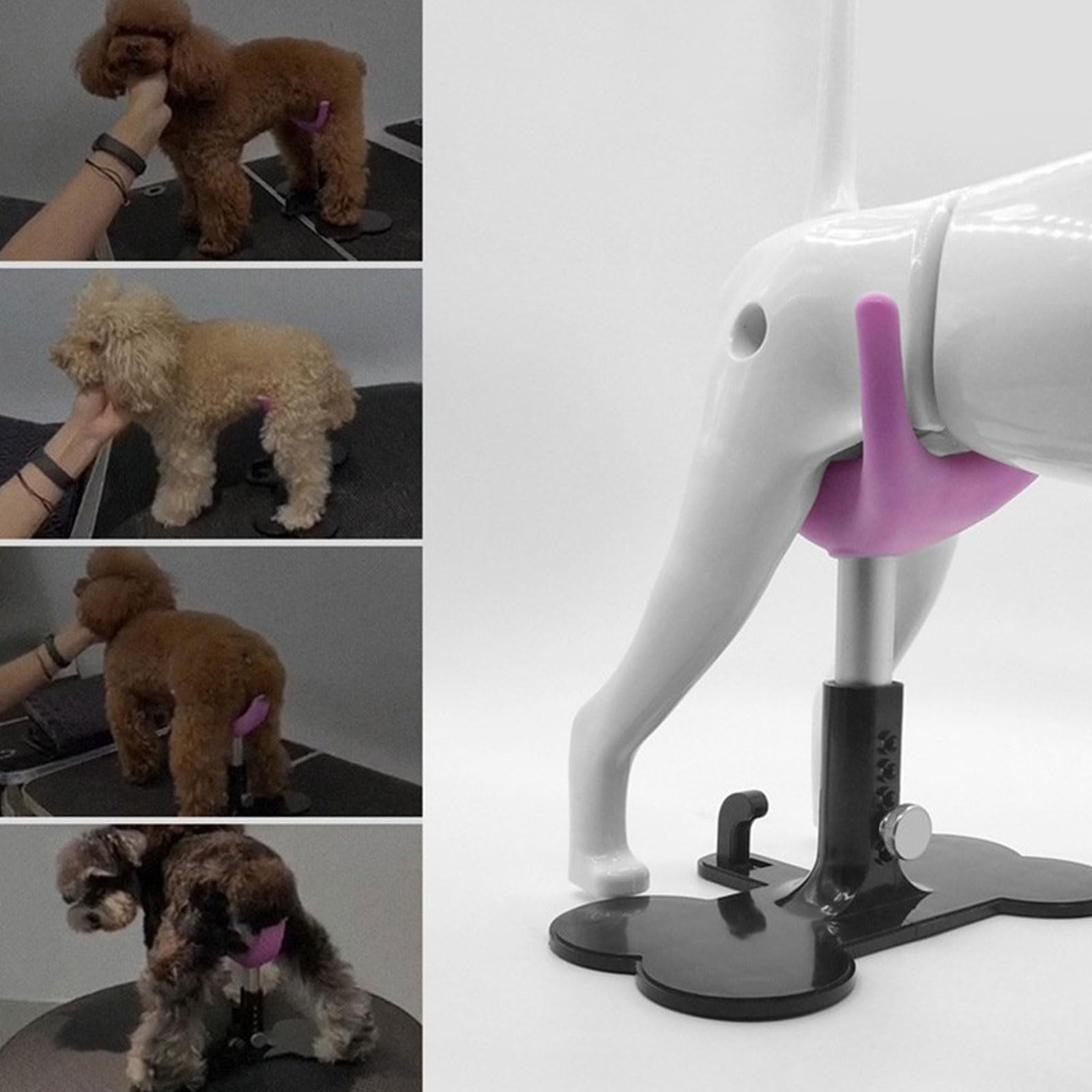 Ayuda para caminar para perros mayores con pierna ajustable para mascotas de pie para mascotas, dispositivo de asistencia para el movimiento de mascotas