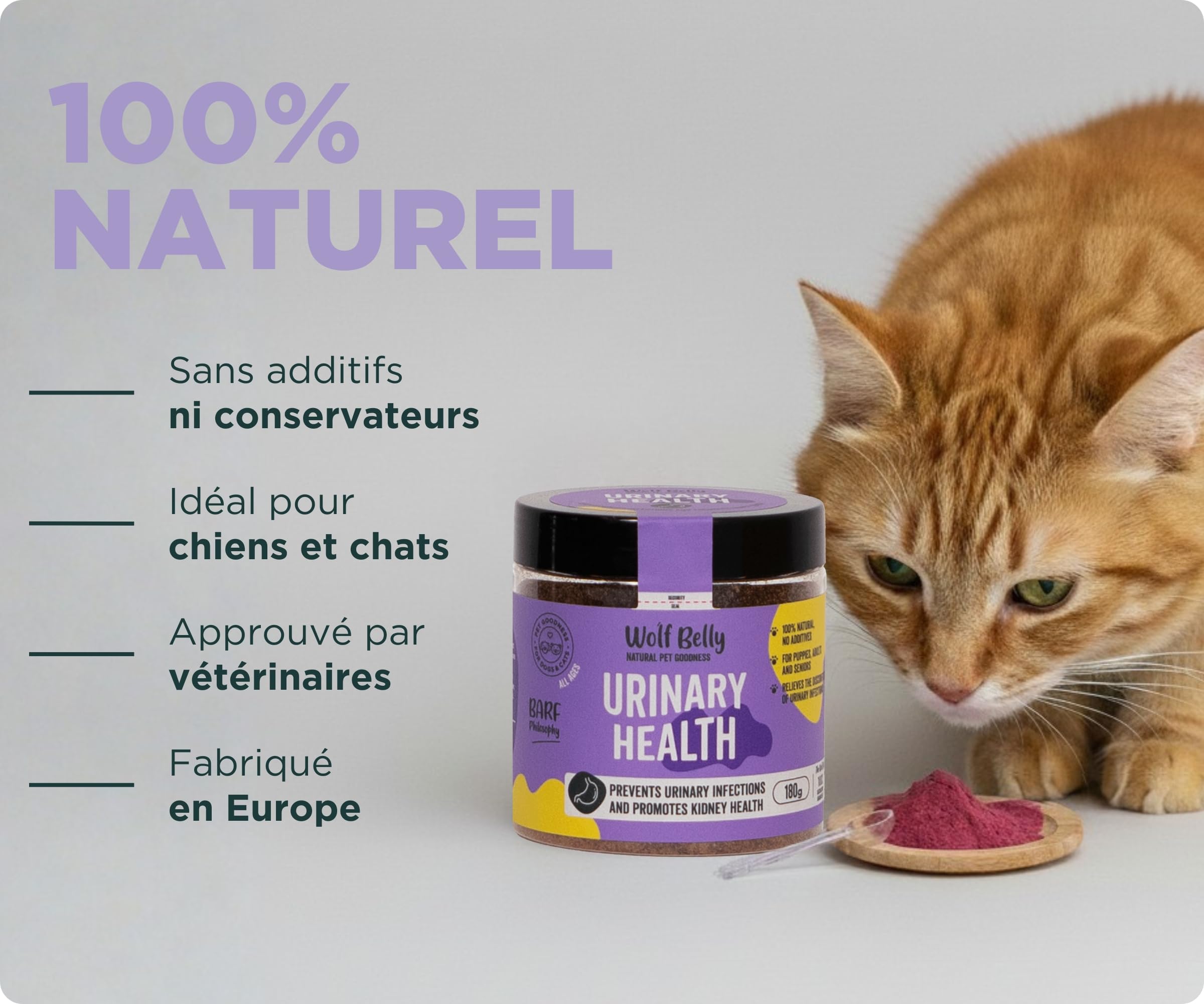 Wolf Belly - Traitement Infection Urinaire Chat et Chien 100% Naturel (180 g) Cystite Chat Médicament | Canneberge Poudre Riche en Vitamine C | Santé Reins pour Seniors et Chats - Fabriqué en Europe