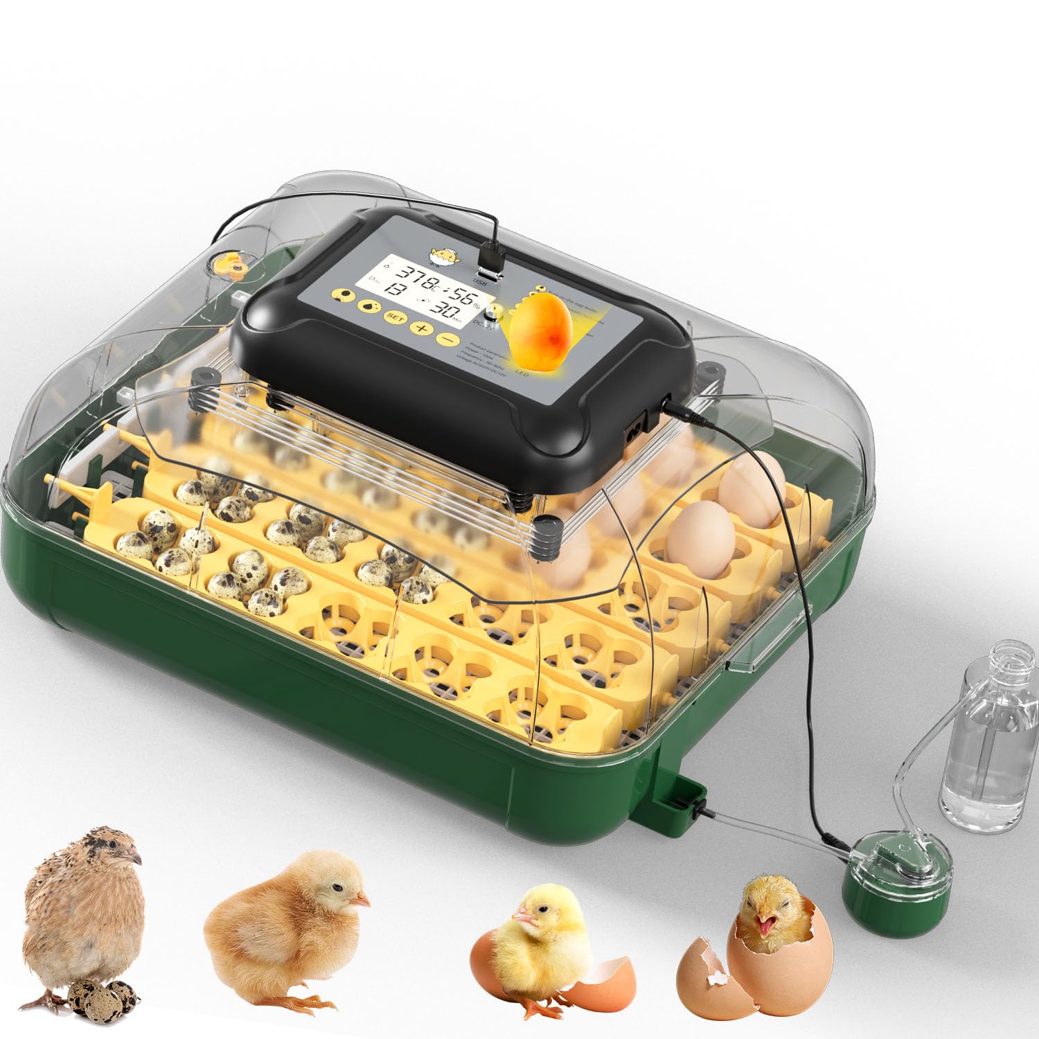 Incubateur de 30 œufs automatique avec contrôle humidité
