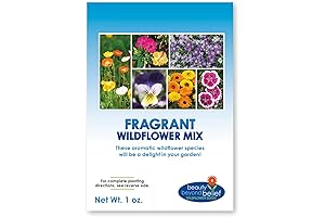 Fragrant Wildflower Seeds Mix (1oz): Aromatic Annual and Perennial Blossoms for a Heavenly Garden