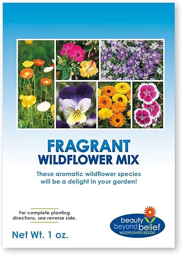 Mezcla de semillas de flores silvestres fragantes, 1 oz, semillas aromáticas anuales y perennes de flores silvestres - Crea el jardín perfecto.