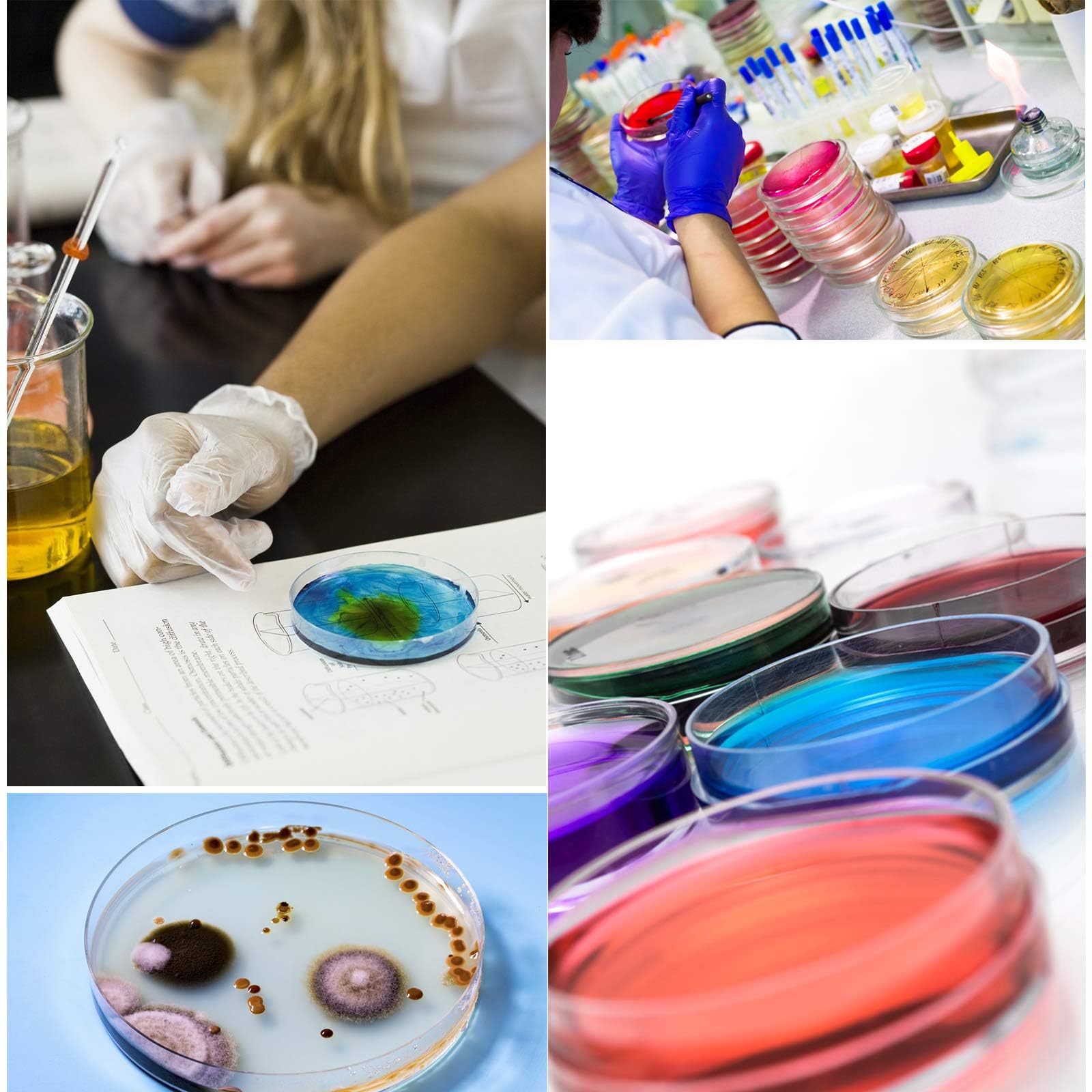30 unidades de plástico Petri Dishes with Lids,90 x 15 mm Bioresearch Estériles Petri Dish,Culture Dishes for School Science Projects,Seeding,Storage,Biological Themed Party