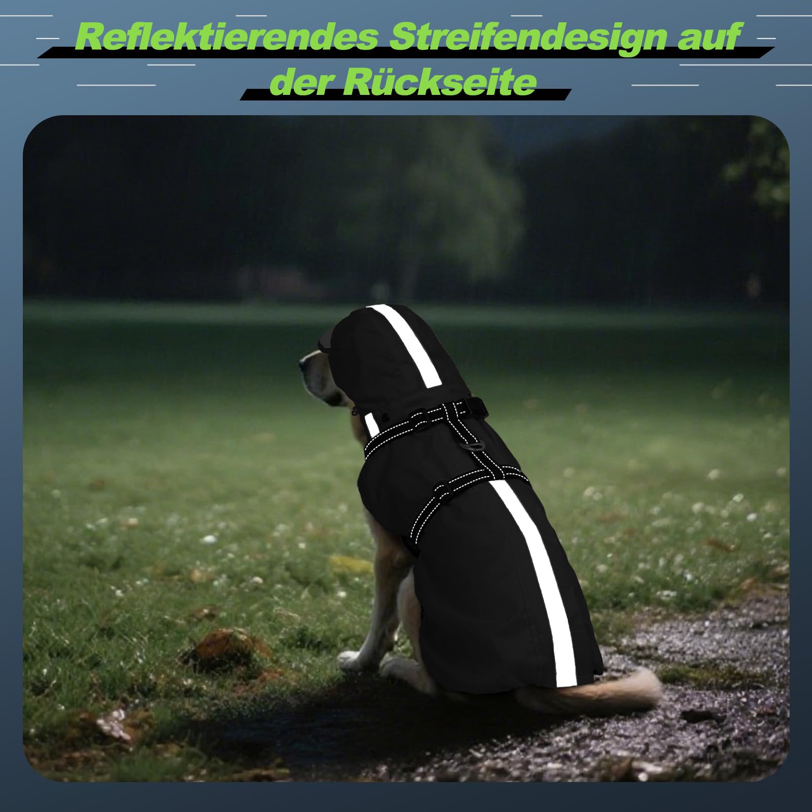 Hunderegenmantel wasserdicht, Regenjacke mit reflektierenden Streifen, H-Brustgeschirr (D-Ring) & Abnehmbarer Kapuze mit Visier, Ideal für mittelgroße/große Hunde [Schwarz, Größe M]
