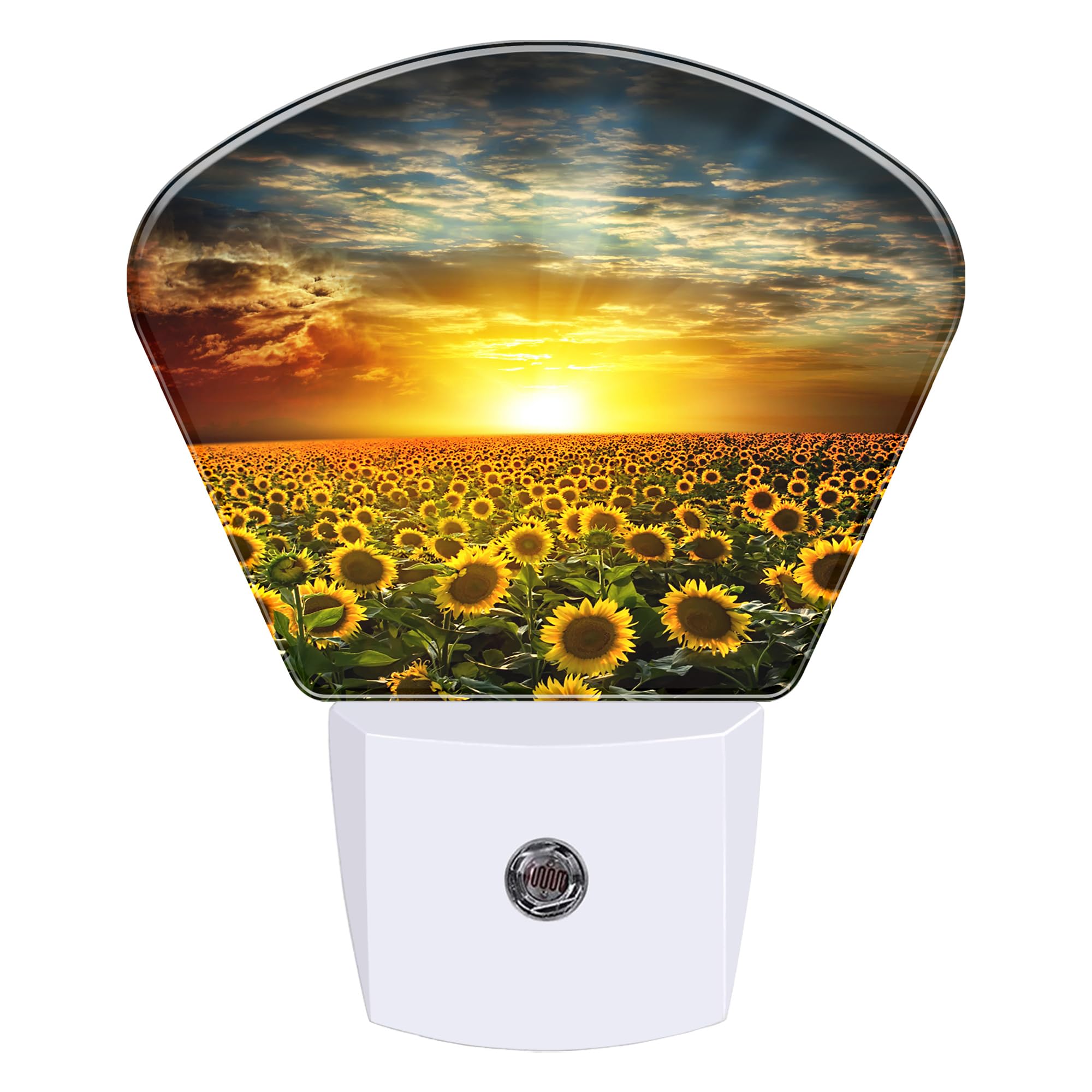 Night Light Beautiful Sunset Plug-in LED Dusk-to-Dawn Sensor Soft Night Lamp,Suitable for Home Bedroom Bathroom Hallway Stairs