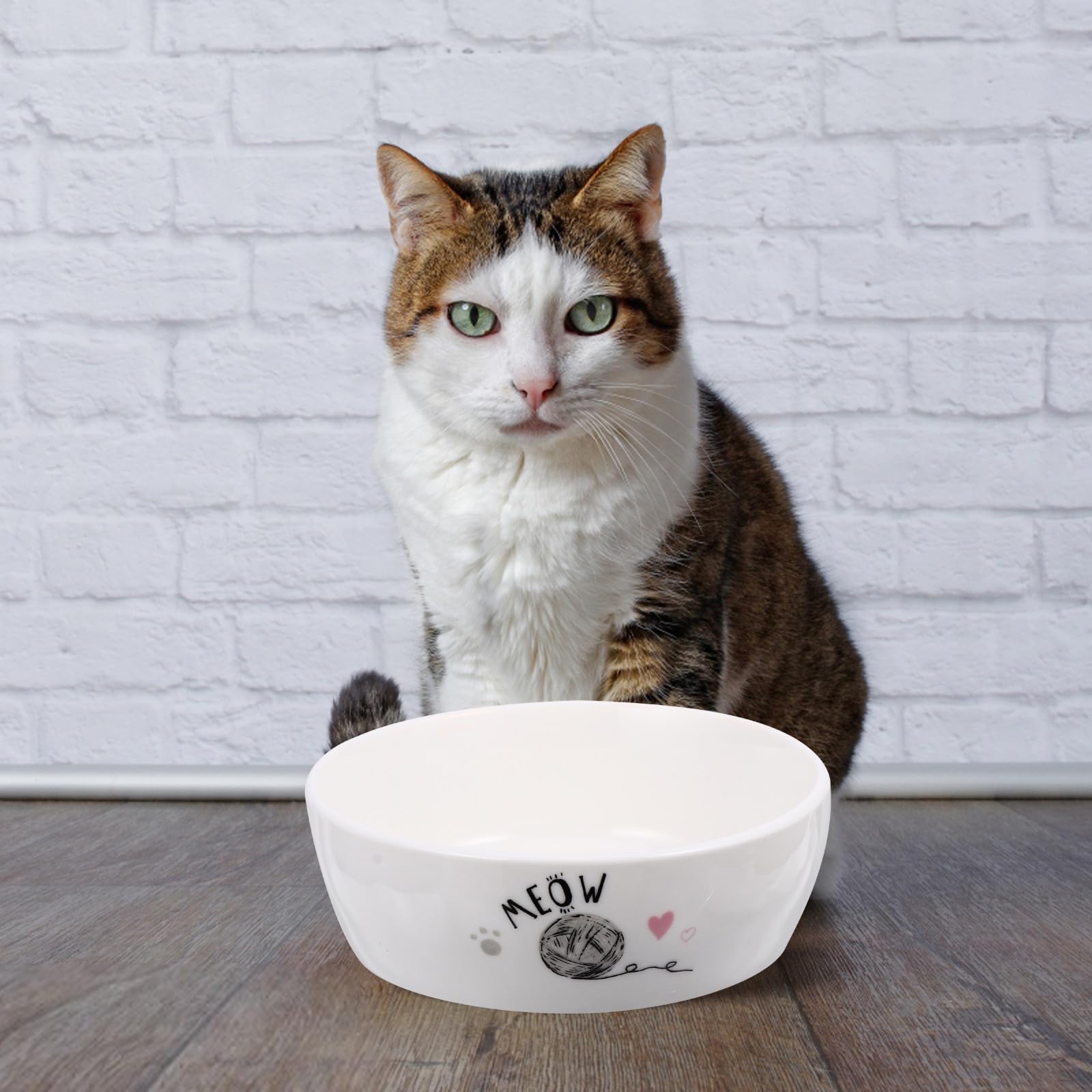 Keramik Futternapf für Katzen rutschfest mit Cartoon Motiv zum Füttern und Trinken