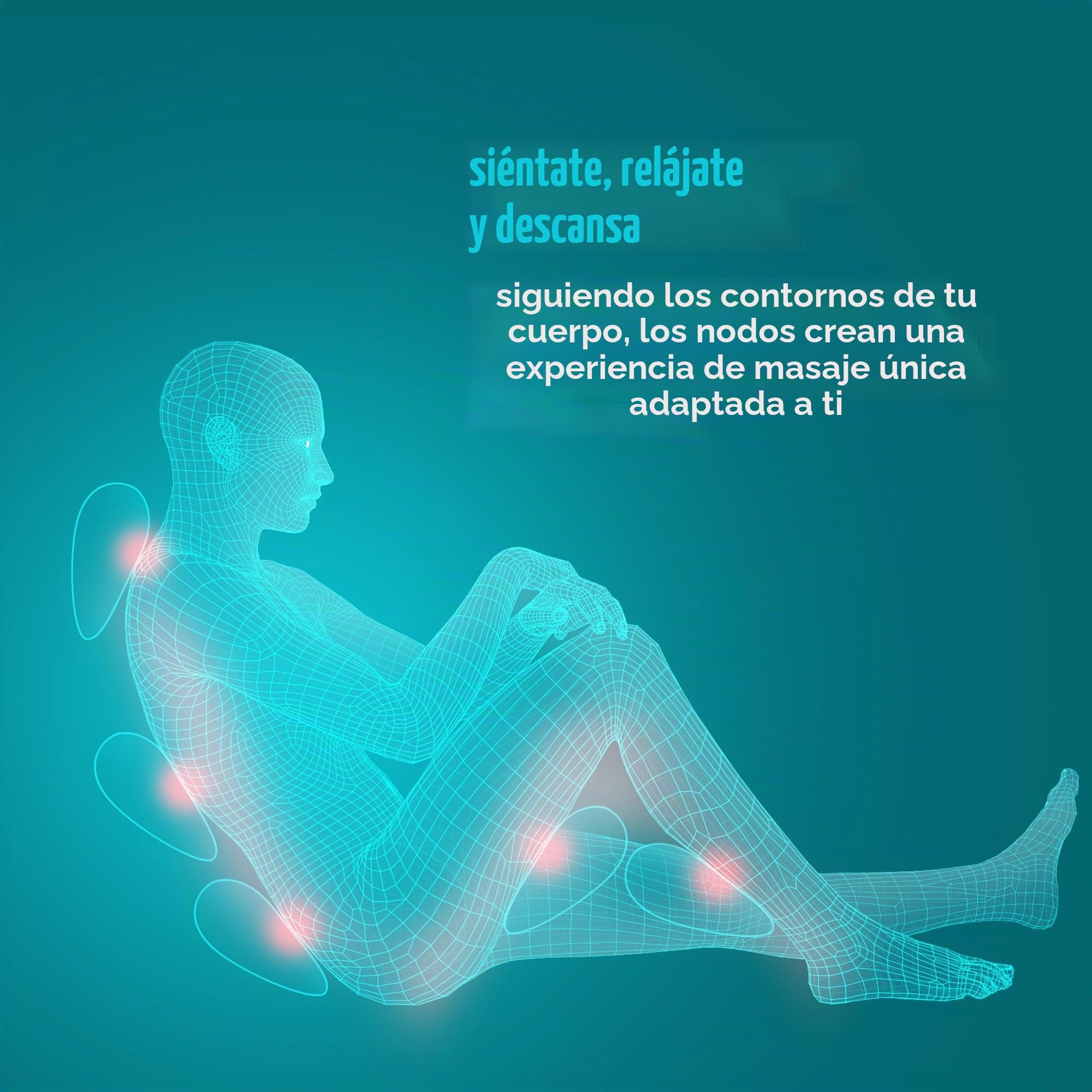 Homedics Cojín de Masaje Portátil Shiatsu con Calor | Masajeador Muscular Profundo, Espalda Baja, Cuello y Hombros, 4 Nodos Rotativos, 2 Direcciones