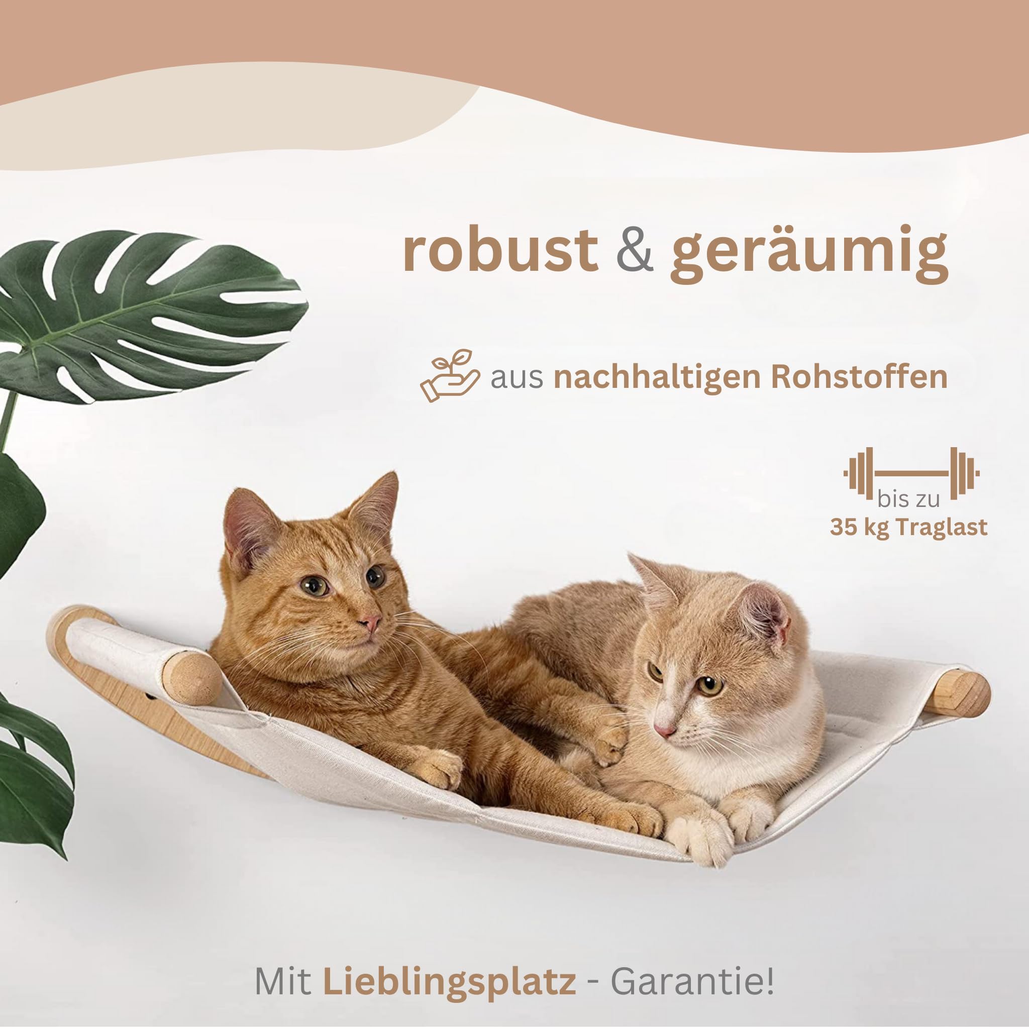 AZANO® Kletterwand Katzen | Katzenhängematte XL [Extra Stabil und Groß] mit Katzentreppe für die Wand | Katzenleiter mit Schlafplatz | Katzenbett zum Klettern aus Natur-holz | 3-Teilig (mit Treppchen)