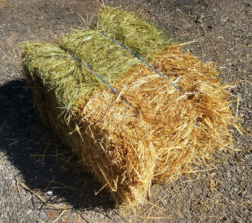Bi Ballot Paille et Foin Qualité Extra 10 à 12 Kg Exclusif