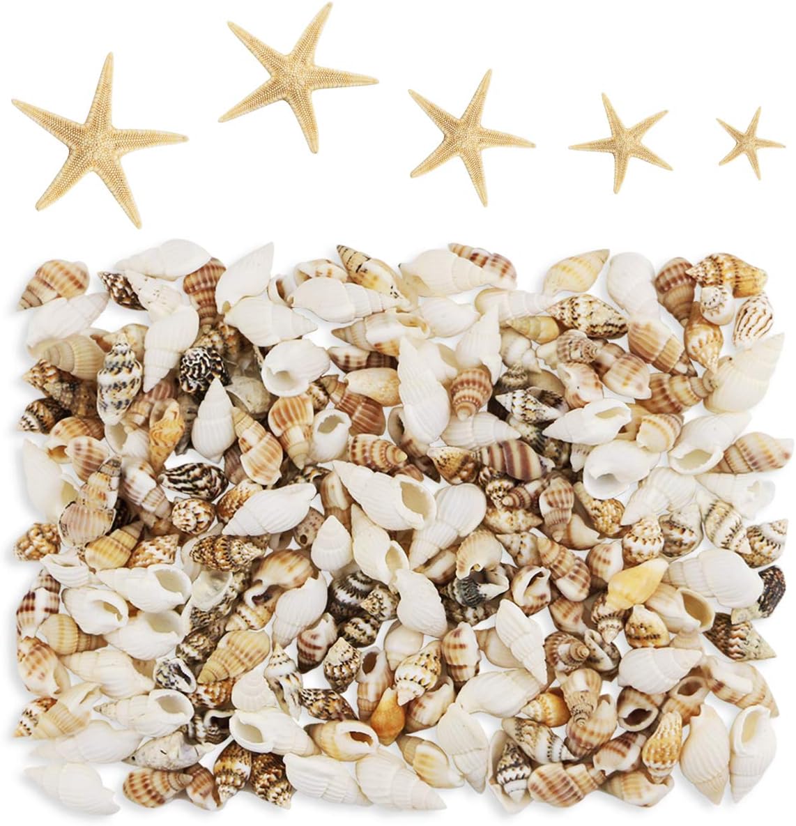 186 pcs MINI Tiny Sea Shells Mixed Ocean Beach Seashells, Natural Starfish for Home Decorations, Beach Theme Party, Candle Making, Wedding Decor, DIY Crafts, Fish Tank and Vase Filler