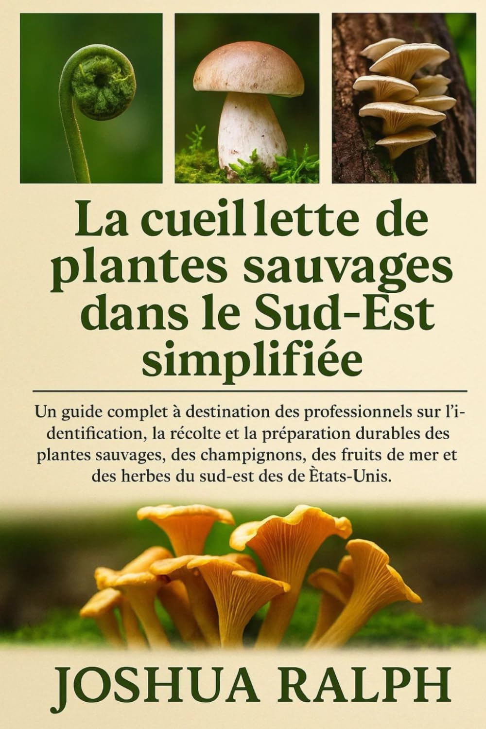 La cueillette de plantes sauvages dans le Sud-Est simplifiée