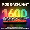 Aula Win68 He Max Magnetic Keyboard Rapid Trigger Wing Chun Switch 8000Hz RGB TKL Hot Swap Player Keyboard Blue