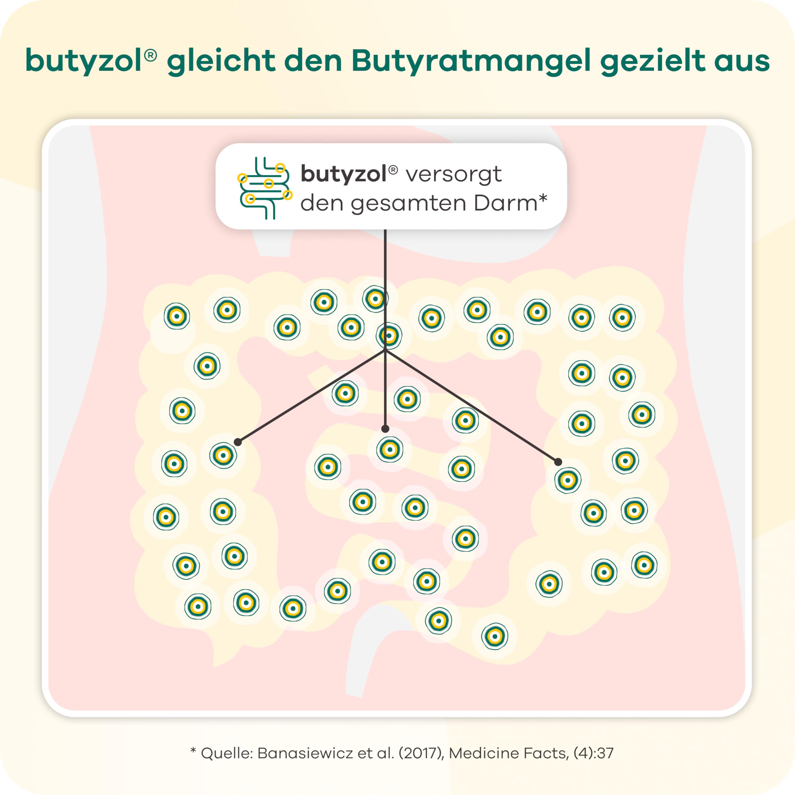 Butyzol Mikroverkapseltes Natriumbutyrat 60 Kapseln – Bei Reizdarmsyndrom, Divertikelkrankheit, Morbus Crohn, Colitis ulcerosa – Patentiert & Wirksamkeit durch Studien belegt