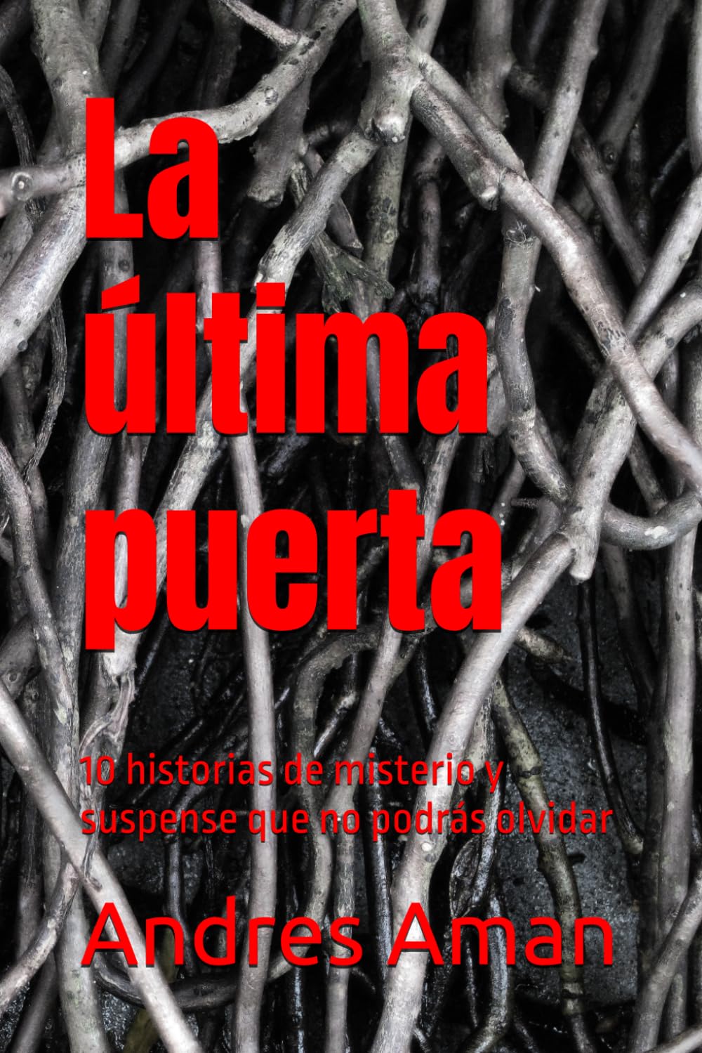 La última puerta: 10 historias de misterio y suspense que no podrás olvidar