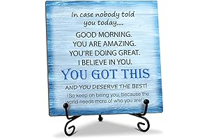 You Got This Gifts for Women and Men Desk Decor