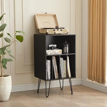 Record Player Stand with Vinyl Storage, Black