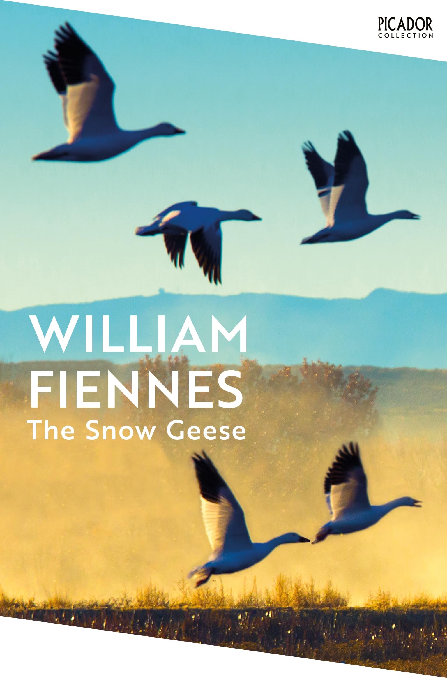 The Snow Geese by William Fiennes PAPERBACK 9781035065233