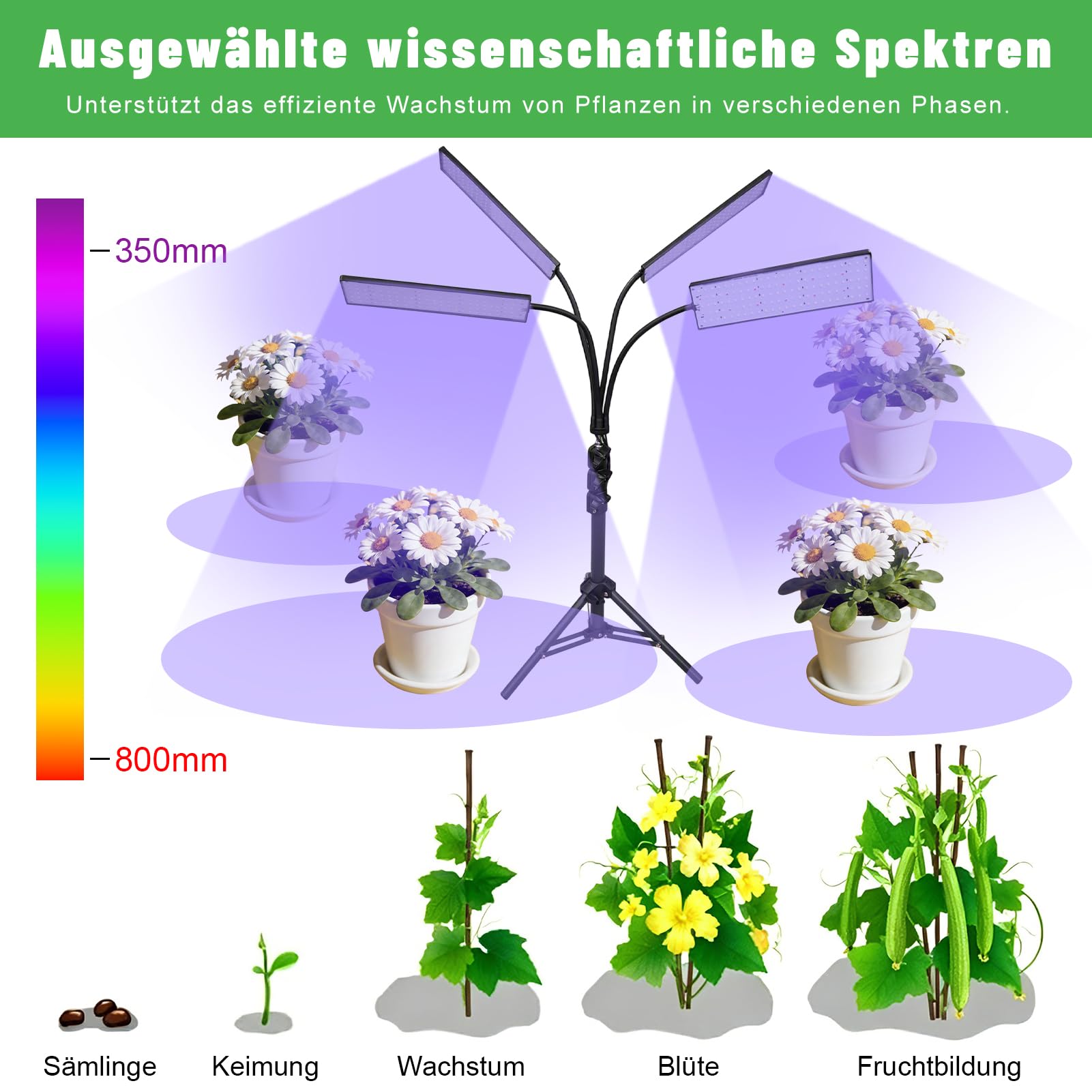 Lampe Horticole Led,32W 480LEDs Lampe Plante Interieur avec Trépied | 4Têtes Lampe Led Horticole Spectre Complet Minuterie 3/9/12,4 Modes,10 Niveaux,Bras Flexible 360°,Pour Plantes D'intérieur