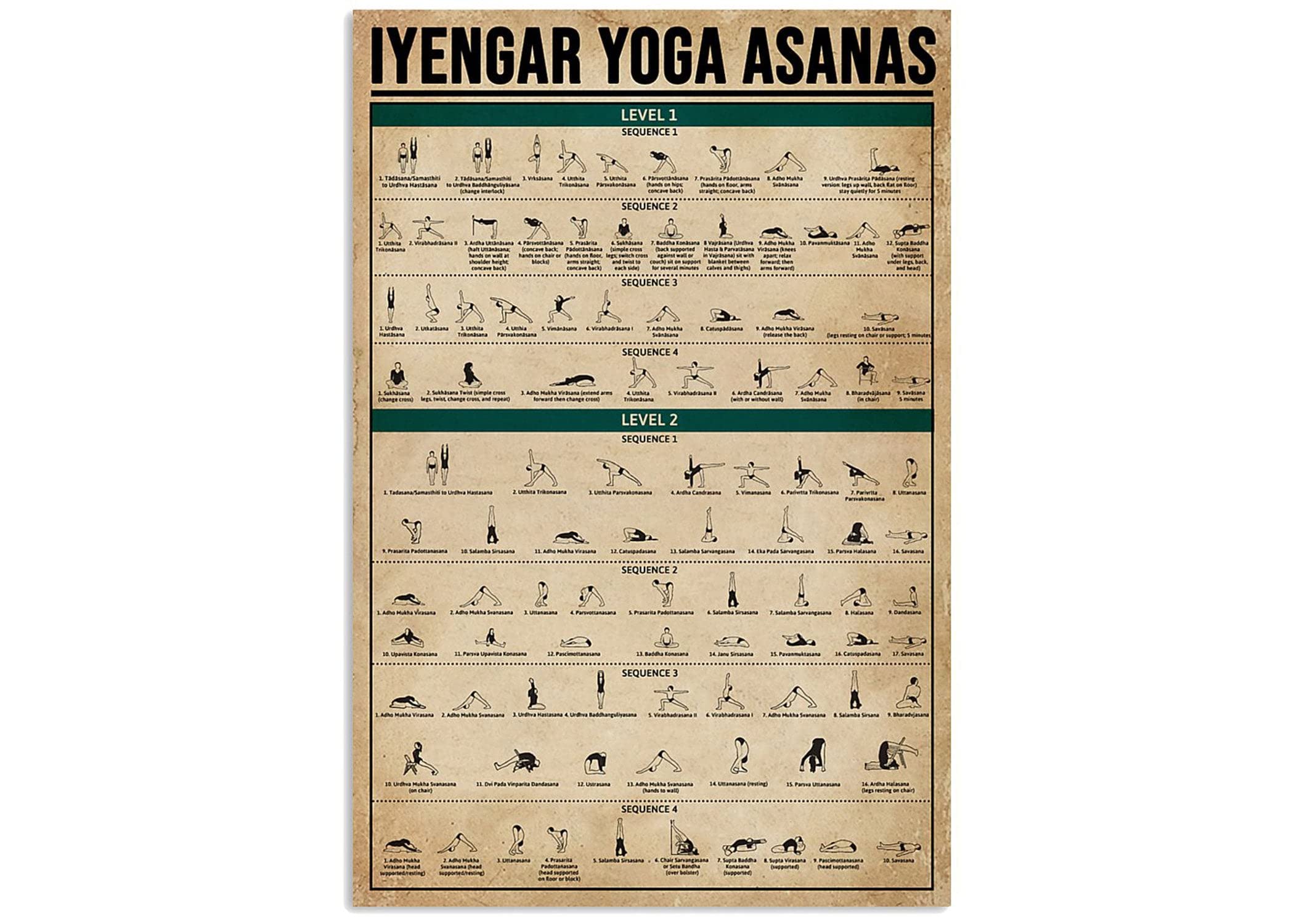 Nuboxx Yt_1 Iyengar Yoga Asanas Knowledge Metal Signyoga Wall Art Yoga Yoga Poses Poster Yoga Decor Chakra Poster Yoga Lover Gift Metal Tin Sign 6X8 Inch