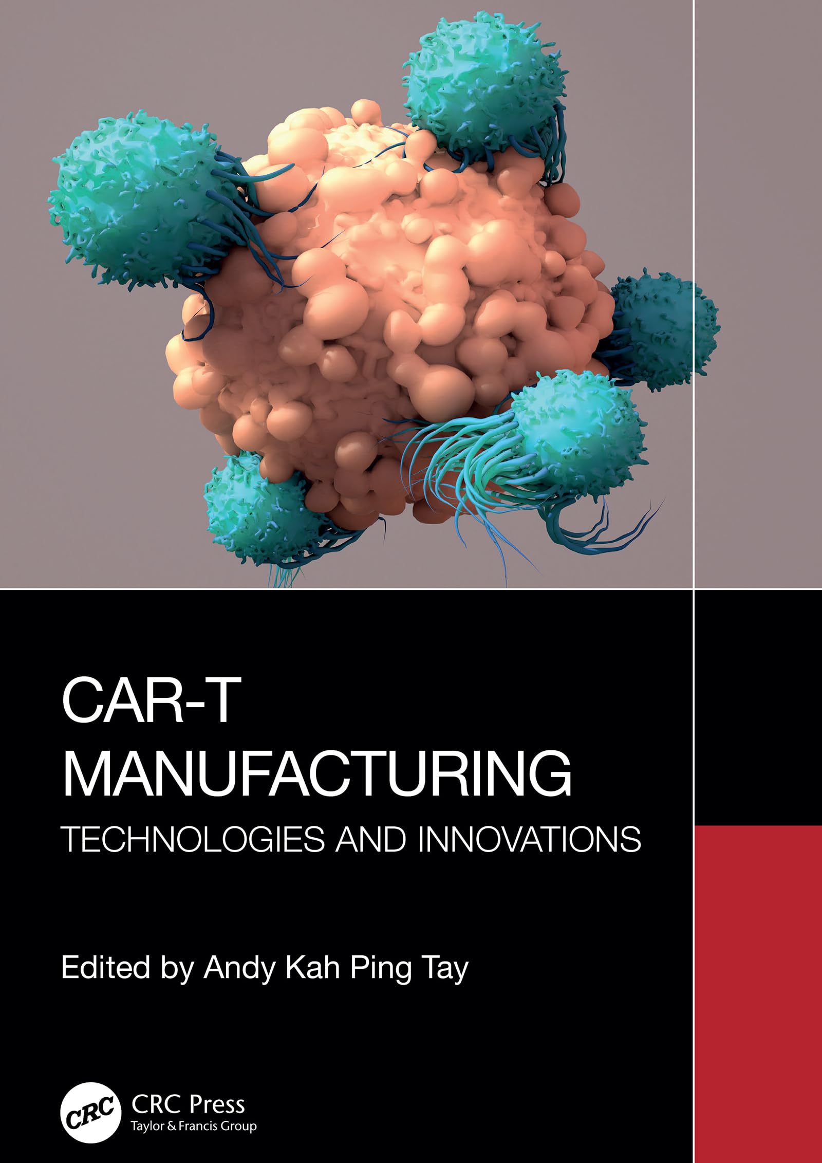 CAR-T Manufacturing: Technologies and Innovations (English Edition)