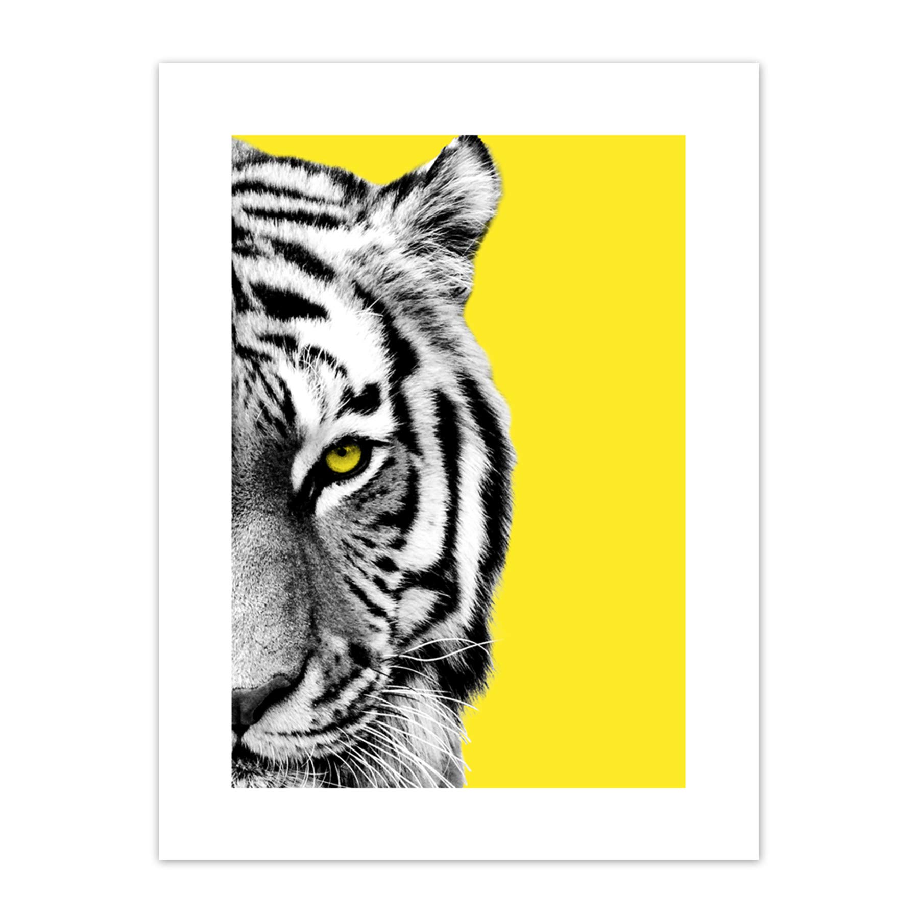 Wee Blue Coo Close up Beasties Tiger Art Print Canvas Premium Wall Decor Poster