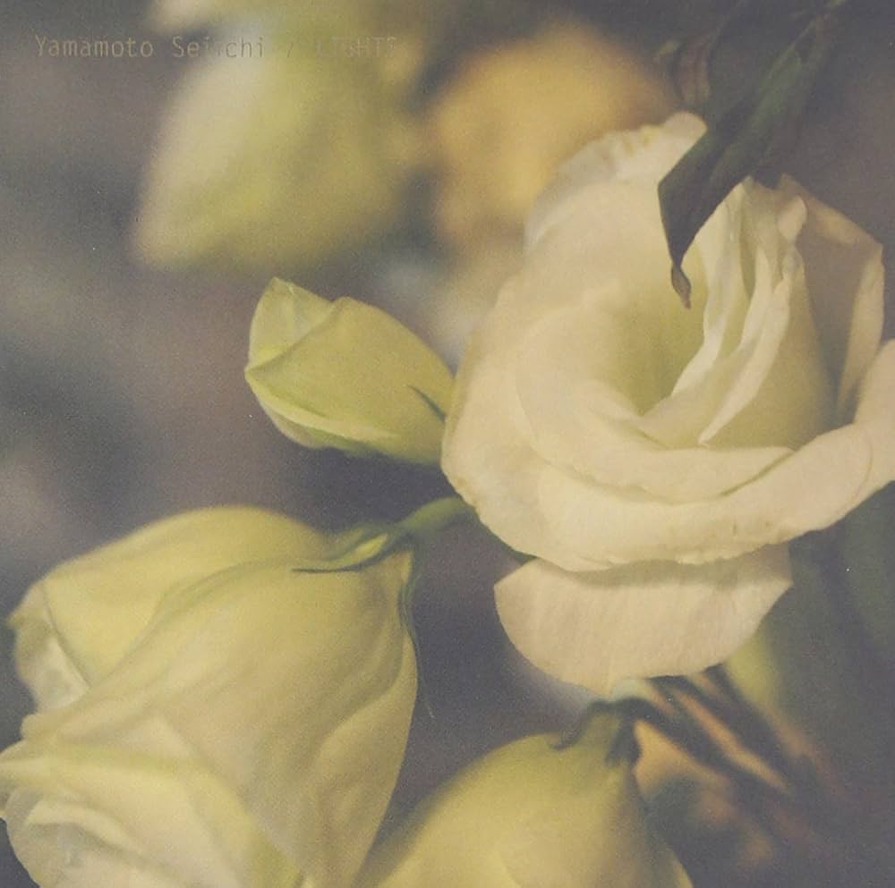 LIGHTS - Amazon.com Music