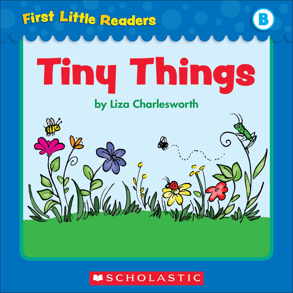 First Little Readers: Tiny Things (Level B)