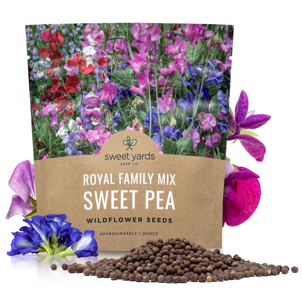 Amazon.com : Sweet Pea Seeds Royal Mix - Bulk 1 Ounce Packet - Over 350  Seeds - Large Fragrant Lavender, Purple, Red, Pink and White Blooms :  Patio, Lawn & Garden