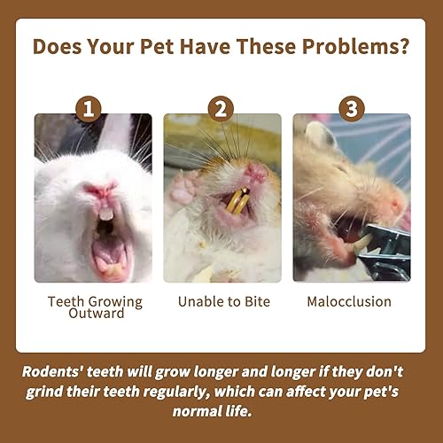 Vista 29 de Fhiny 18 piezas de juguetes masticables de conejillo de indias, palos molares de bambú dulce natural para dientes, conejito masticable, accesorios