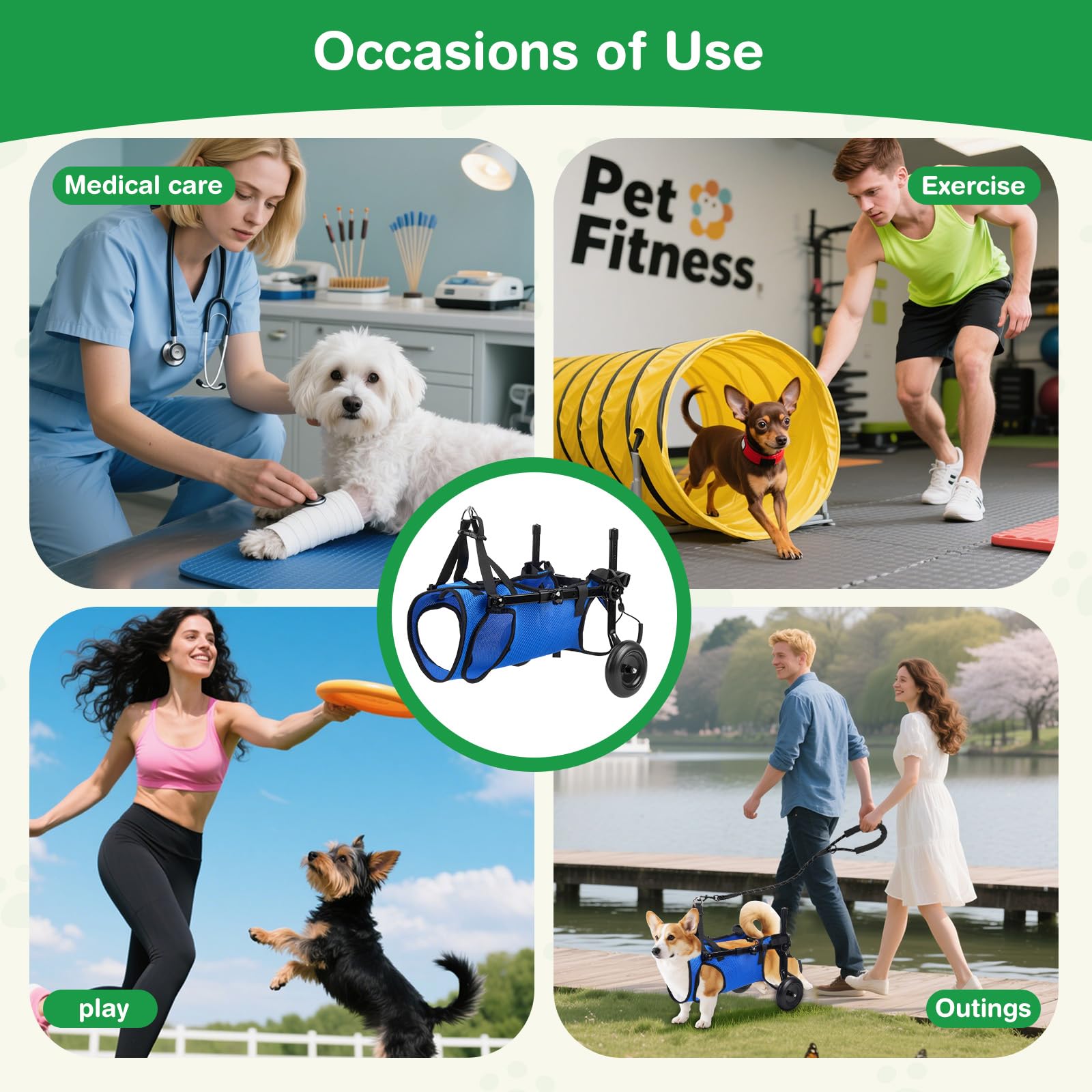 Fauteuil roulant réglable pour petits animaux de compagnie - Support de la jambe arrière pliable avec roues - Taille M - Aide à la mobilité pour pattes arrière paralysées (S)