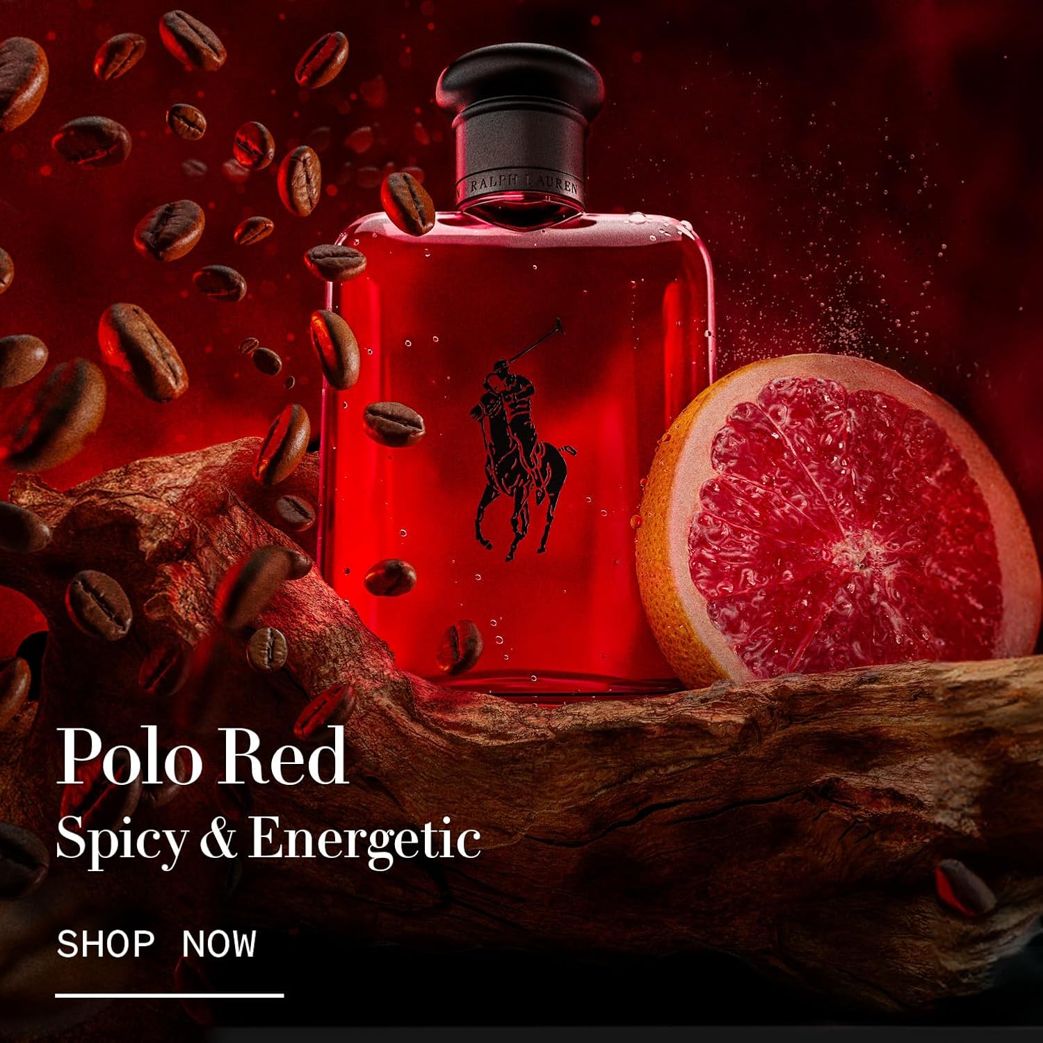 Ralph Lauren - World of Polo Men's Cologne Duo Trial Set ($60 Value) - Polo Red & Polo 67 - Eau de Toilette - 2-Piece Set - Travel Size - 0.5 Fl Oz Each - Image 4