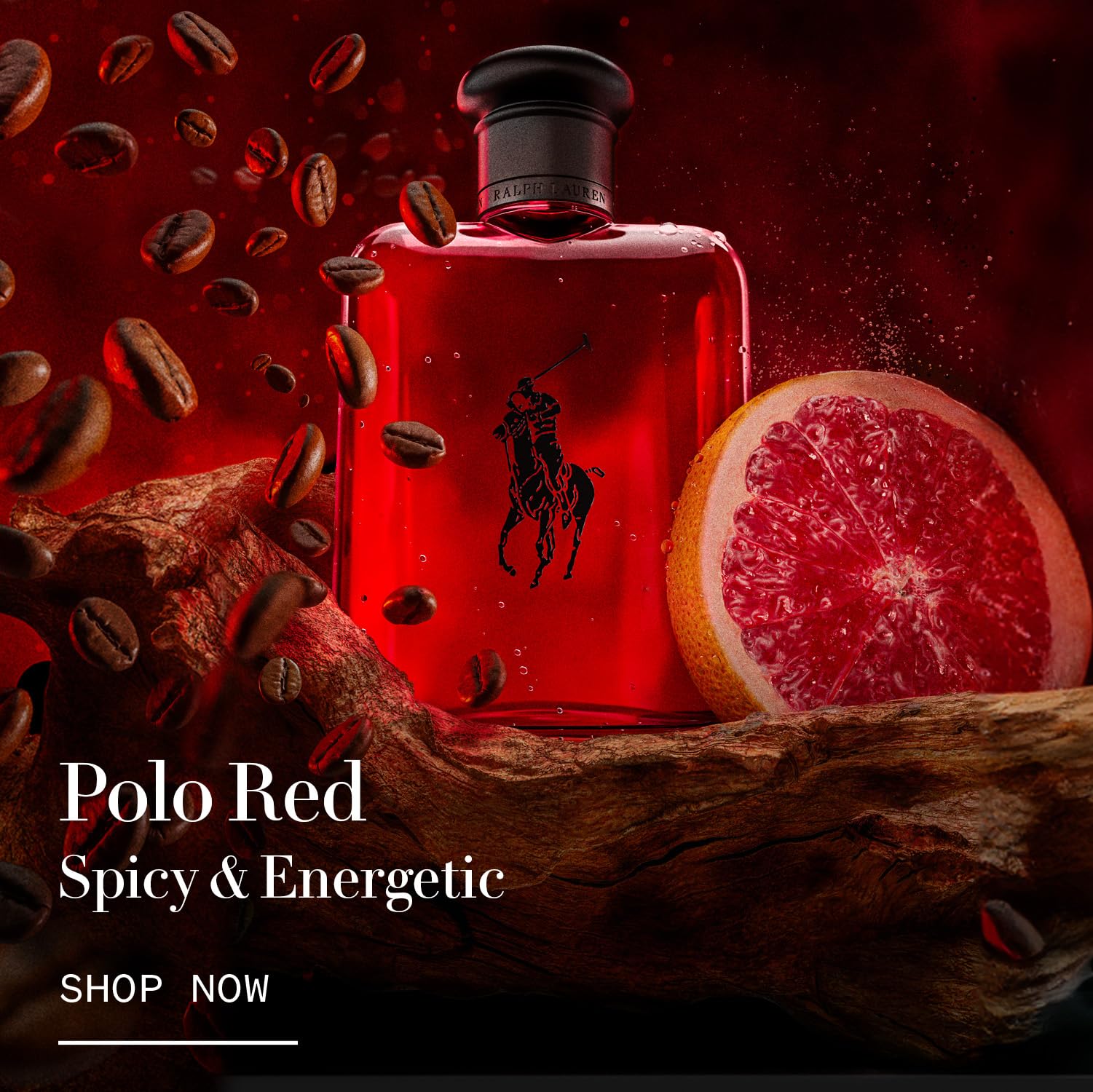 Ralph Lauren Polo Men's Cologne Duo Trial Set - Polo Red & Polo 67