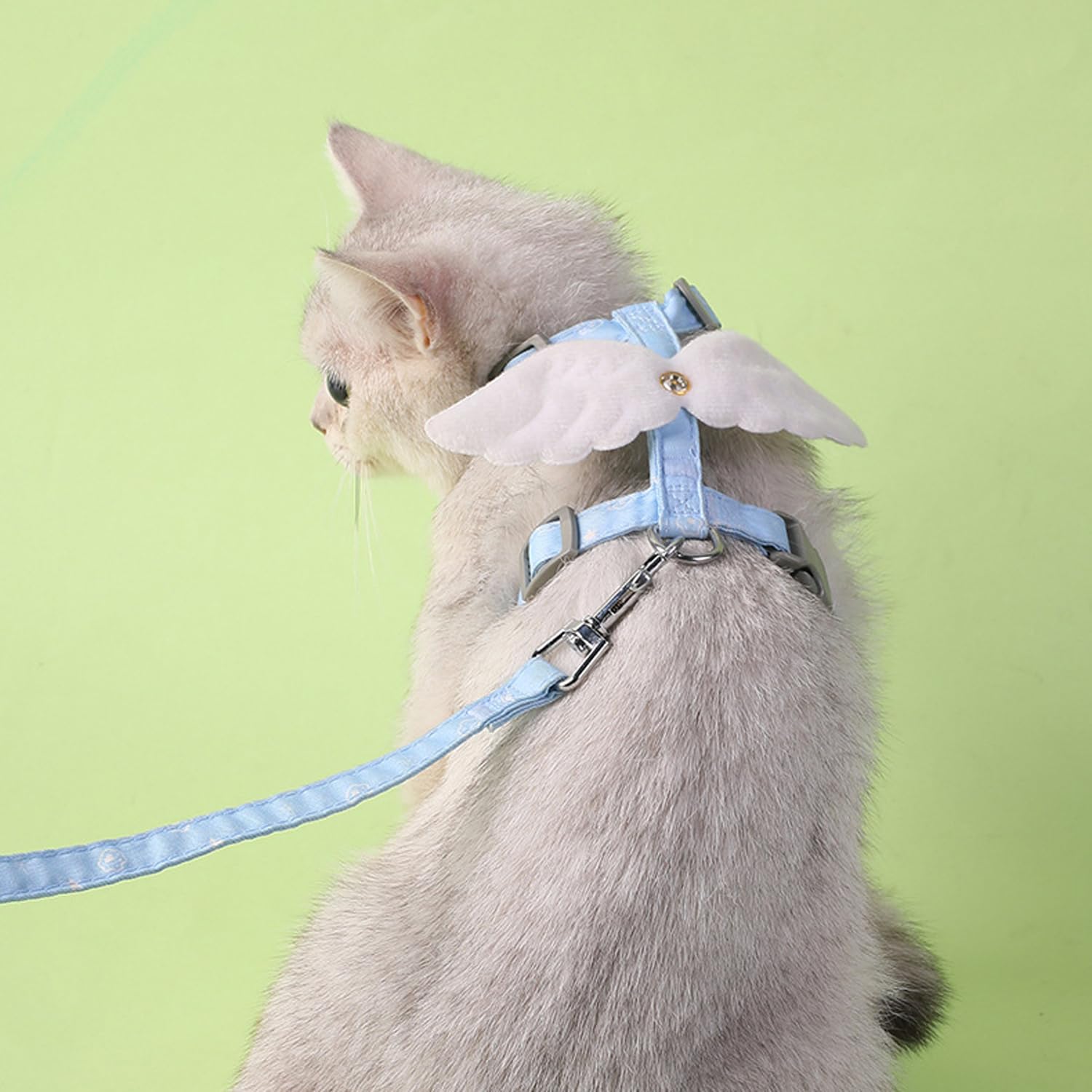 Bear Harness Cat Harness And Leash For Walking, Escape Proof