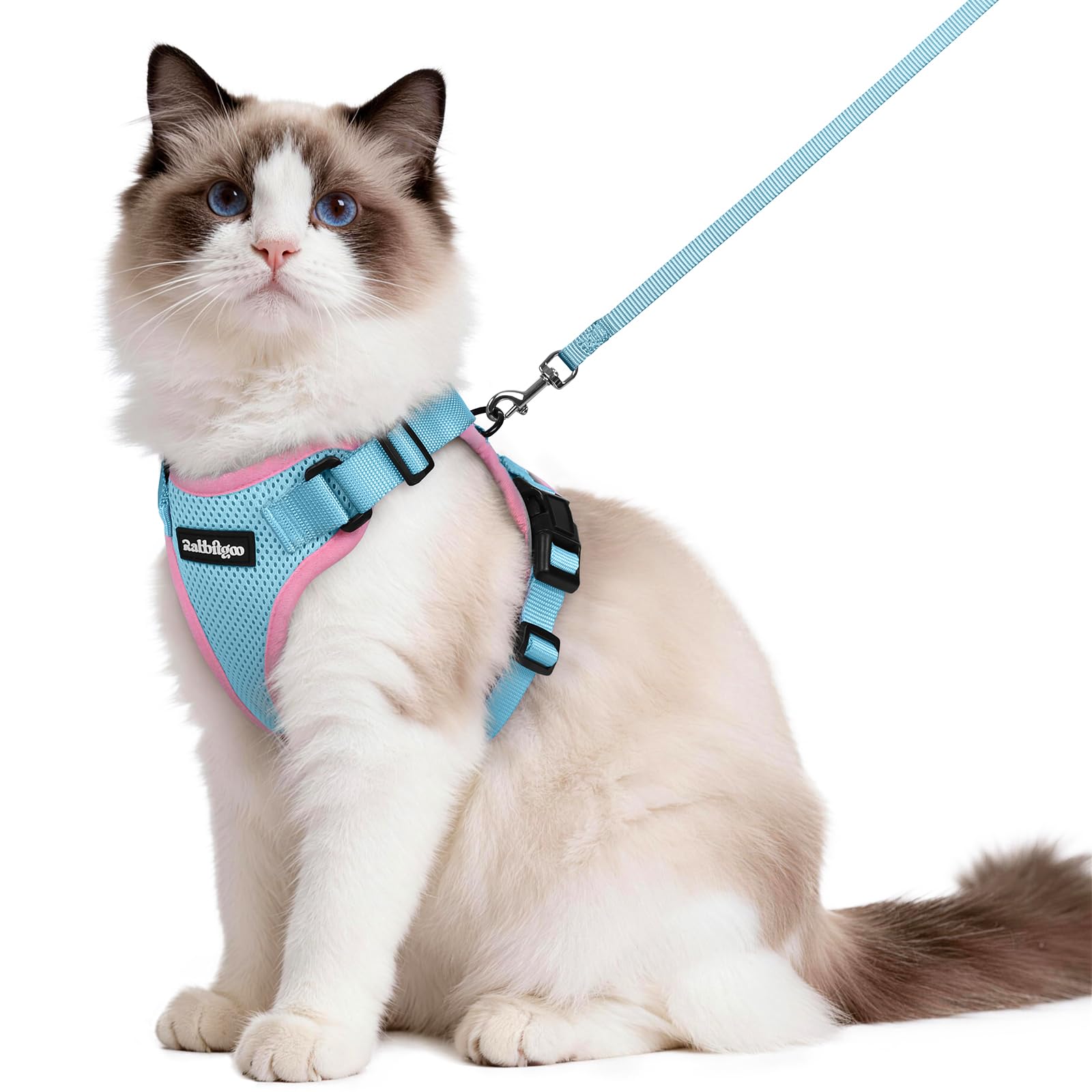 rabbitgoo Cat Harness and Lead Set, Adjustable Escape Proof Cat Lead for Walking, Reflective Kitten Harness Set, Soft and Comfortable for Kittens and Small Cats, Light Blue & Pink, M
