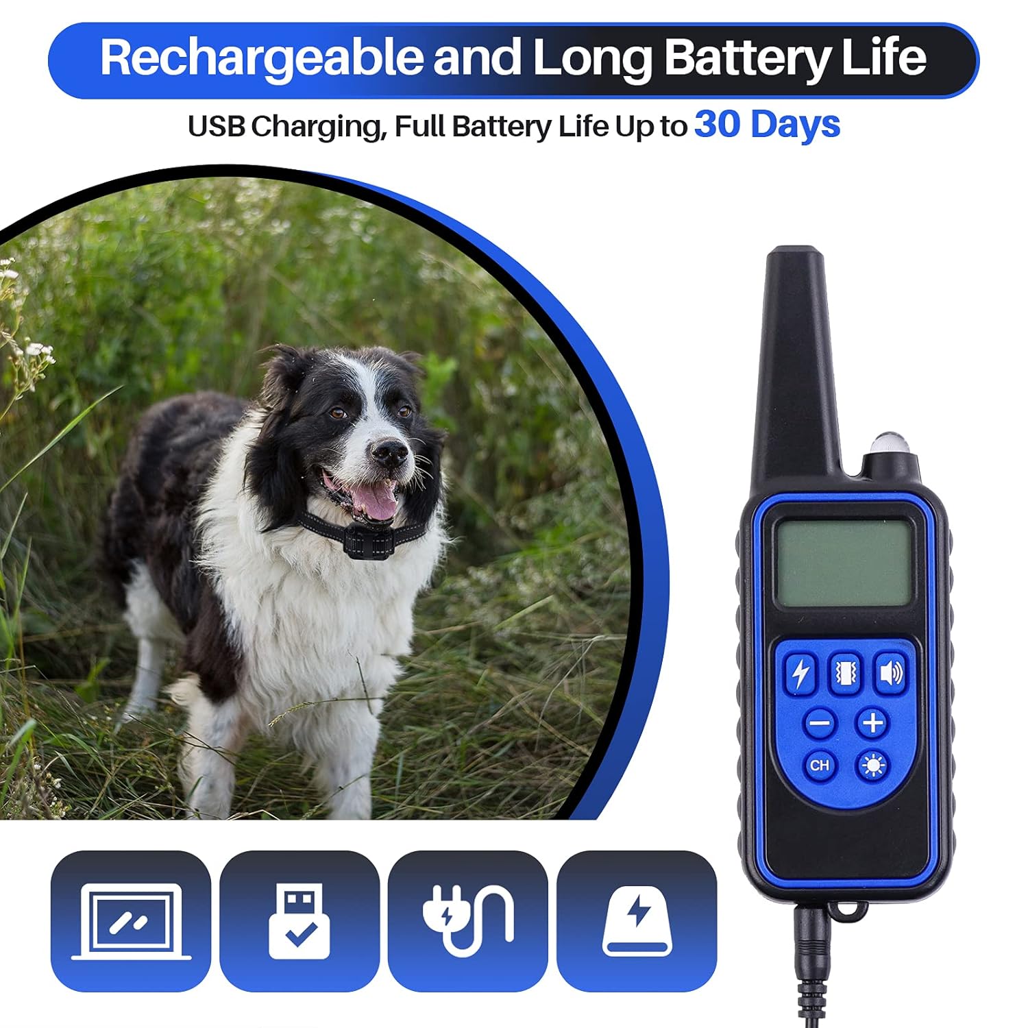Image showing the remote control and receiver collar, highlighting their rechargeable nature and long battery life of up to 30 days with USB charging.