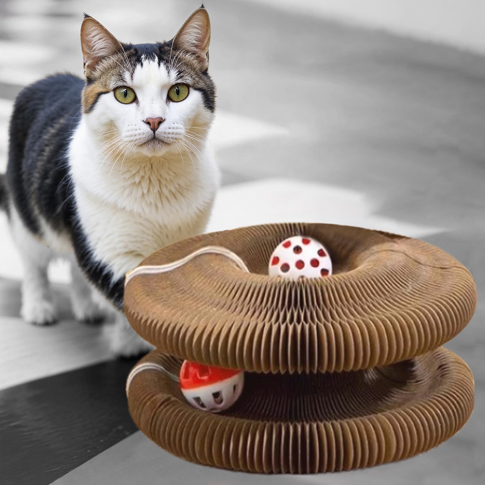 Organ Cat Scratch Board,Scratching Cocoon, Cat Swirl, 10x7x7cm,Foldable and Portable Design,Safety to use,For Trimming cats nails