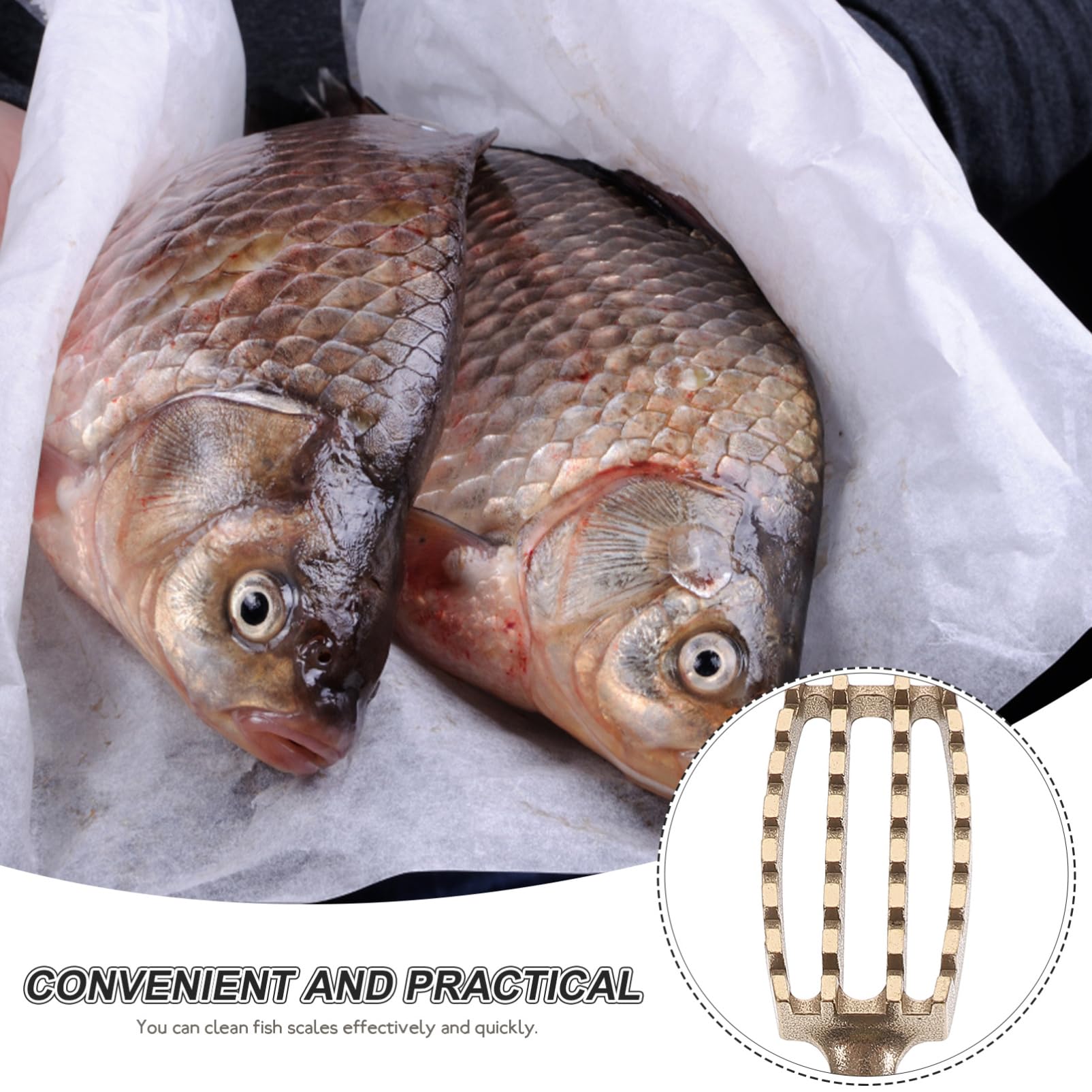 PRETYZOOM 2 Piezas cepilladora de Escamas de Pescado removedor de Piel Herramienta y Tirador Madera Mango de Madera removedor de Escamas de Pescado removedor de Escamas de mariscos latón