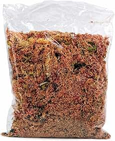 Musgo Rosa Natural, Substrato Premium para Orquídeas e Plantas Carnívoras, Sphagnum, Decoração e Jardinagem, 40g