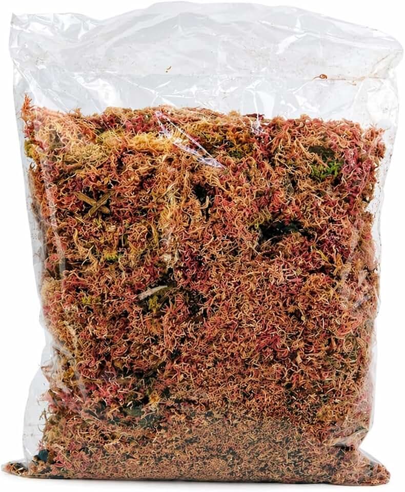 Musgo Rosa Natural, Substrato Premium para Orquídeas e Plantas Carnívoras, Sphagnum, Decoração e Jardinagem, 40g