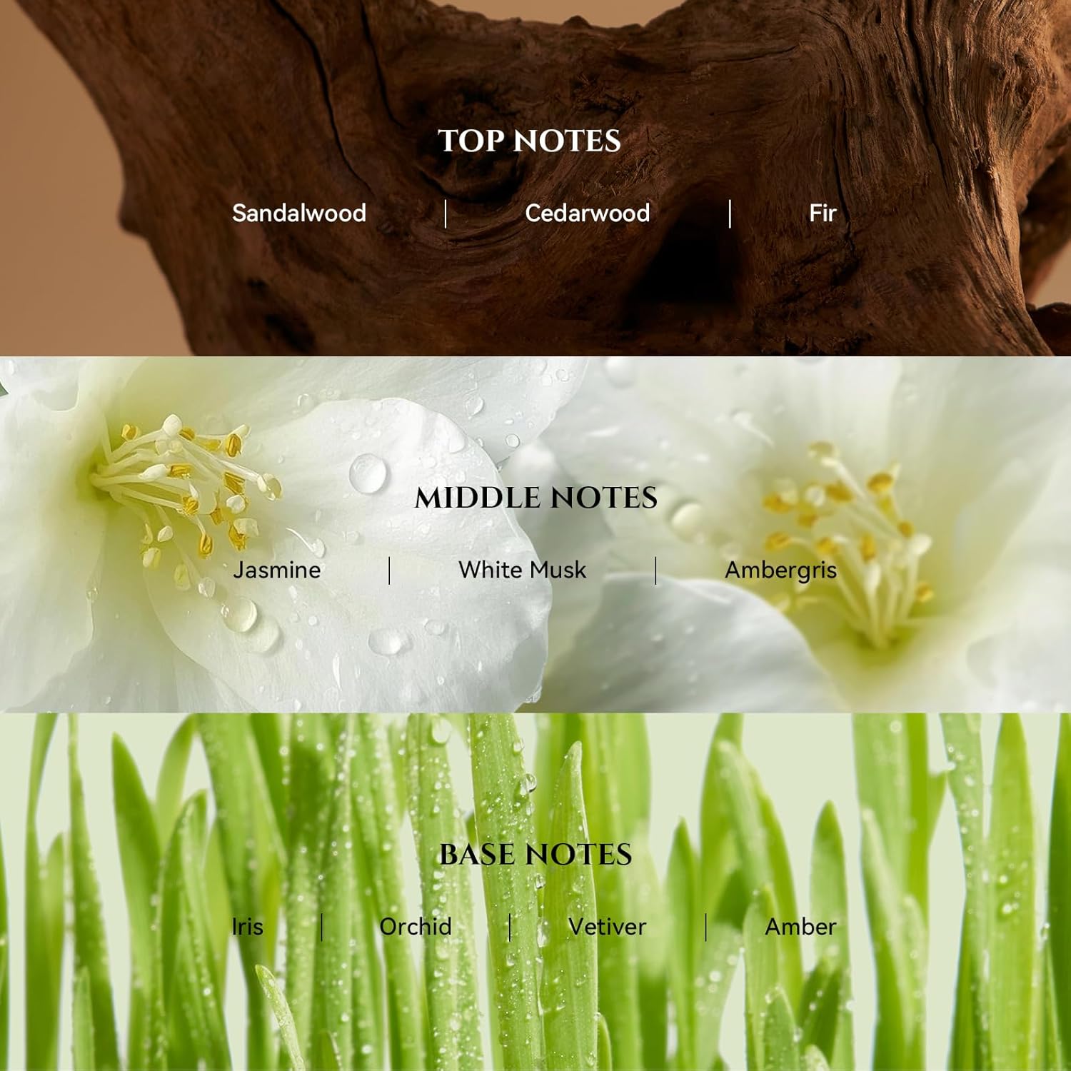 AROMADD Vanilla Silk Diffuser Oil Inspired by Luxury Hotel Scent 3.38 Fl Oz (100ml), Aroma Diffuser & Hotel Fragrance Diffuser Oil, Essential Oil Diffuser for Aromatherapy, Long-Lasting - Image 2