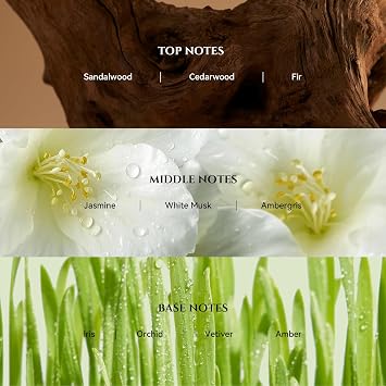 Vanilla Silk Diffuser Oil Inspired by Baccarat Luxury Hotel Scent, 200 mL
