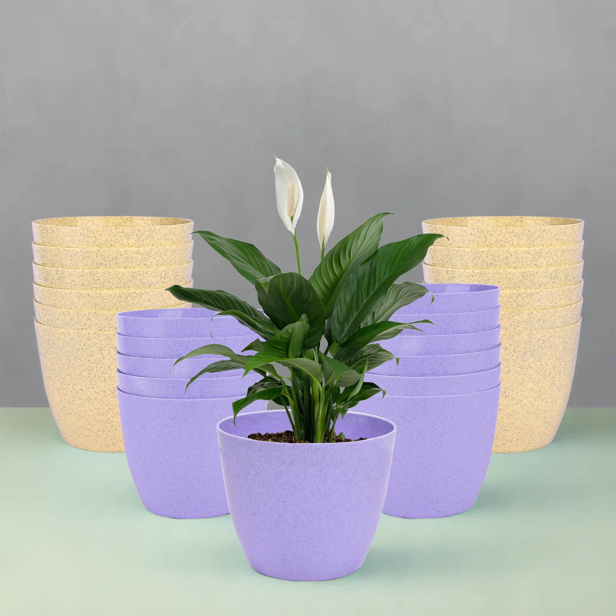 See full amazon price history chart for Heart Home Pack of 24 Flower Pot | Flower Pot for Living Room-Office | Flower Planters for Home-Office-Lawns & Garden D�cor | Planters Pots for Balcony | Marble Cool | 5 Inch | Purple & Beige Heart Home Pack of 24 Flower Pot | Flower Pot for Living Room-Office | Flower Planters for Home-Office-Lawns & Garden D�cor | Planters Pots for Balcony | Marble Cool | 5 Inch | Purple & Beige (B0CYPXV755) Amazon Price History, Amazon Price Tracker