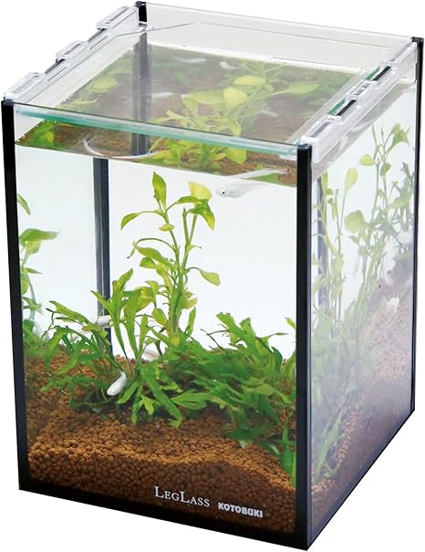 Amazon 寿工芸 クリスタルキューブ 150h B 寿工芸 水槽 通販 Amazon 寿工芸 クリスタルキューブ 150h B 寿工芸 水槽 通販