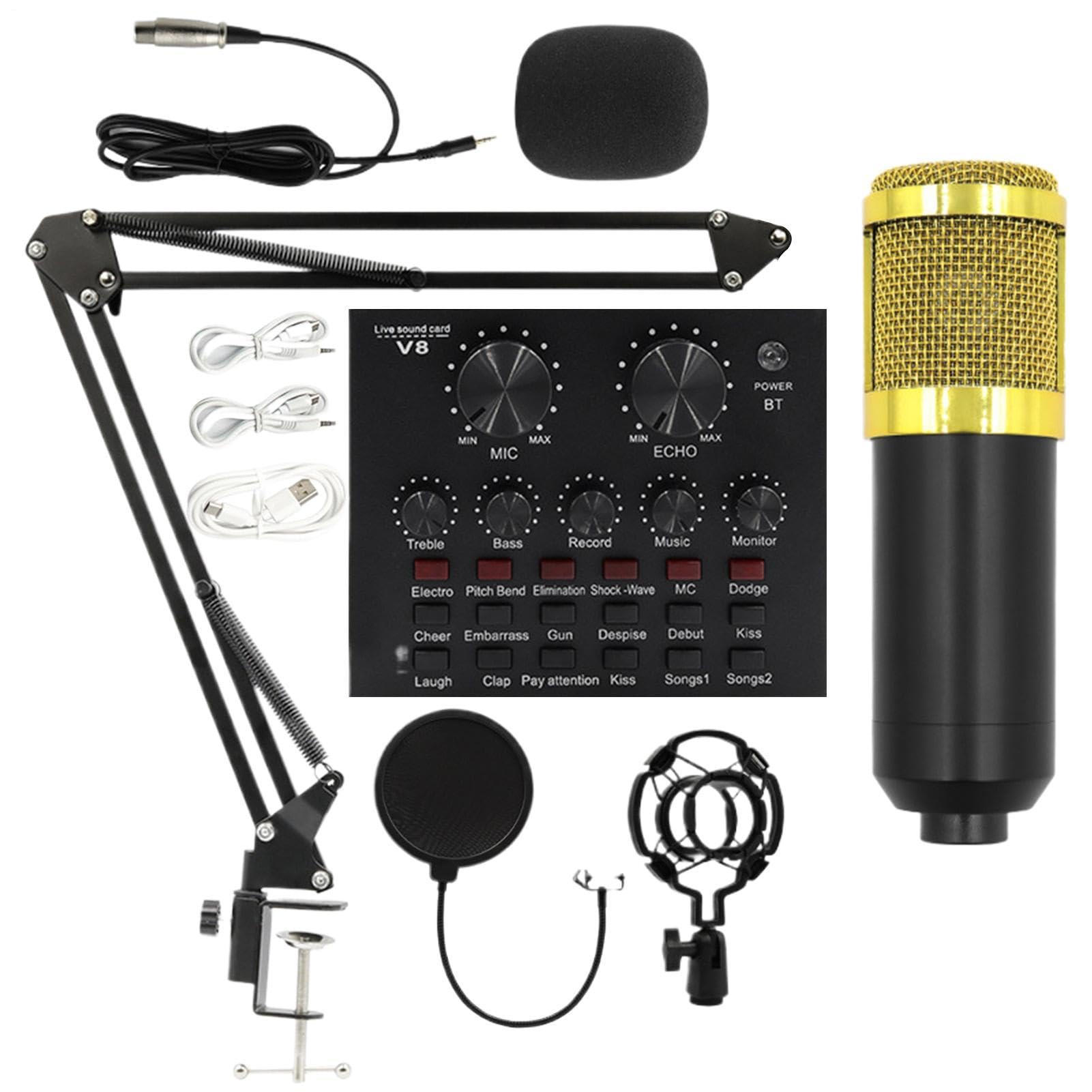 Attrezzatura Per Live Streaming Scheda audio streaming supporto microfono